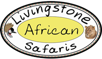 Livingstone Safaris